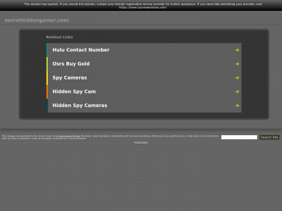 www.secrethiddengamer.com snapshot