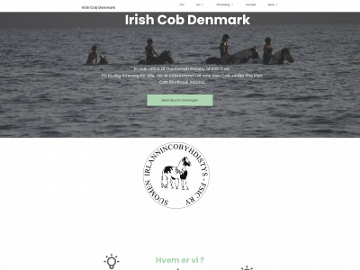 irishcob.dk snapshot