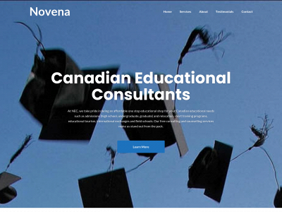 novenaconsult.com snapshot