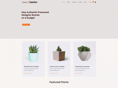 luxecatcher.com snapshot