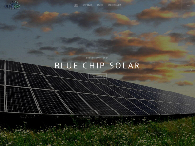 bluechipsolar.io snapshot