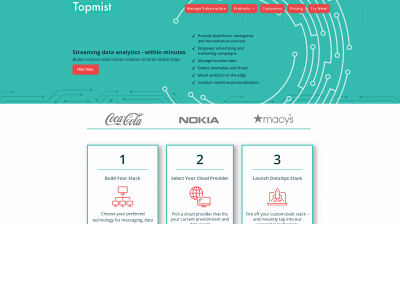 topmist.com snapshot