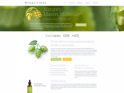bioactivesinc.com snapshot