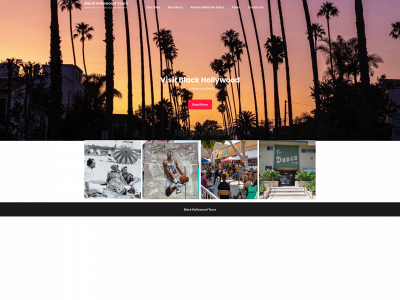 theblackhollywoodtour.com snapshot