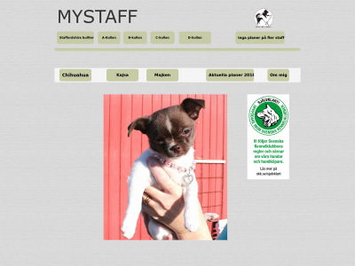 mystaff.se snapshot