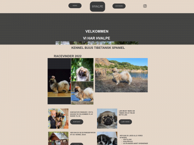 kennel-buus.123hjemmeside.dk snapshot