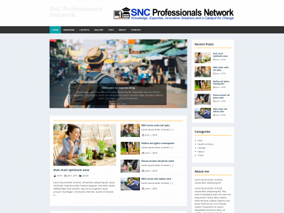 sncprofessionalsnetwork.co.uk snapshot