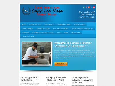 leenoga.com snapshot