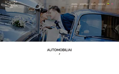 vabalutarnyba.lt snapshot