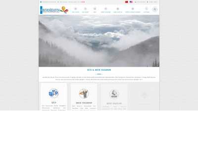 seodizayn.com snapshot