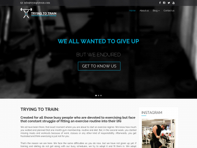 tryingtotrain.com snapshot