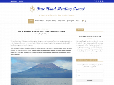 truewindhealingtravel.com snapshot