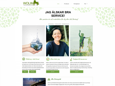 wolim.se snapshot