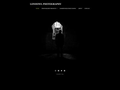 londowl.com snapshot