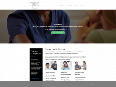 mindsmattertn.org snapshot