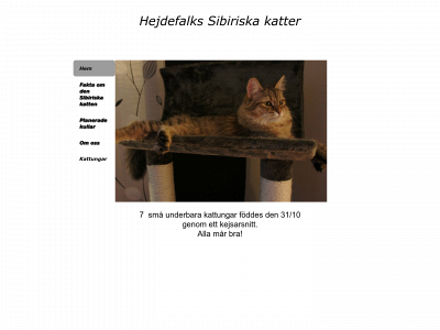 hejdefalks-sibiriska-katter.se snapshot