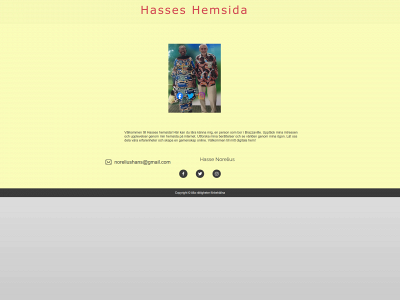 hassenorelius.se snapshot