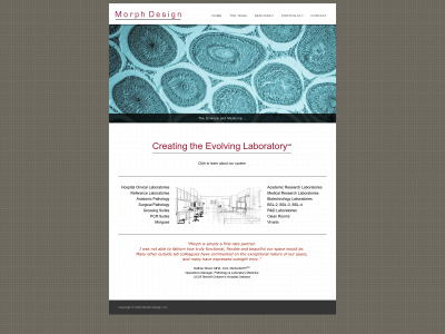 morphdesigninc.com snapshot