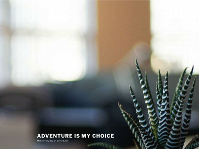 adventureismychoice.com snapshot