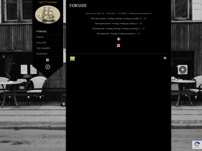 cafefremtiden.dk snapshot