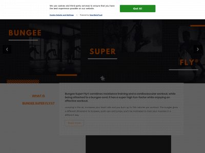 bungeesuperfly.com snapshot