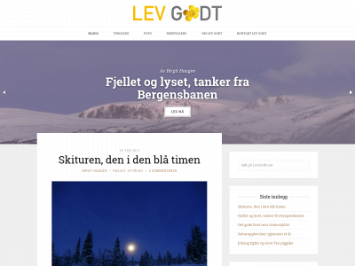 levgodt.net snapshot
