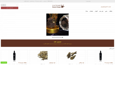 nseemnaajd.com snapshot