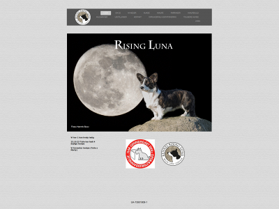 rising-luna.dk snapshot
