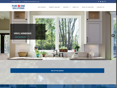 pureonesolutions.com snapshot