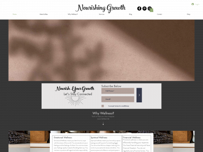 nourishinggrowth.org snapshot