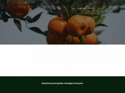 www.citrescoagricola.es snapshot