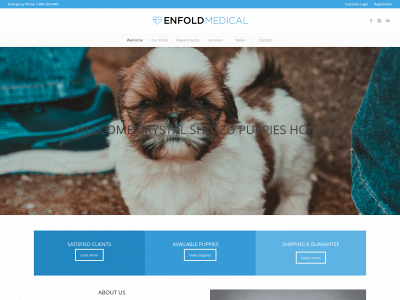 shitzupuppiesforsell.com snapshot