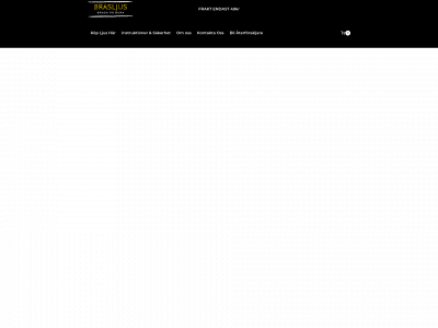 brasljus.se snapshot