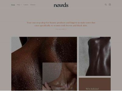 newds.be snapshot