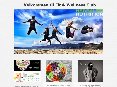 team-mlm.dk snapshot