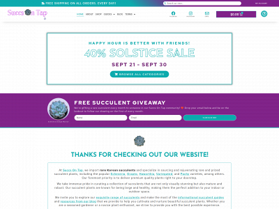 www.succsontap.com snapshot