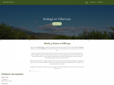 perezvelillana.com snapshot