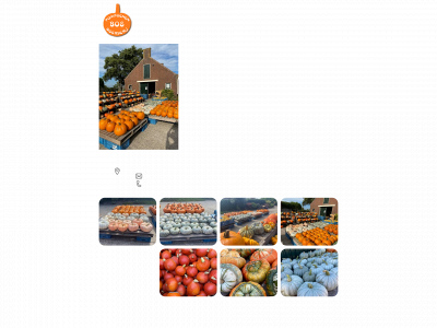pompoenenkoning.nl snapshot