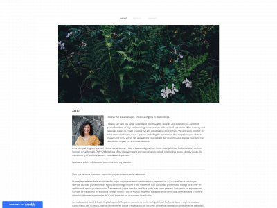 www.emilyavileslcsw.com snapshot