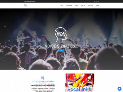 voicesizing.com snapshot