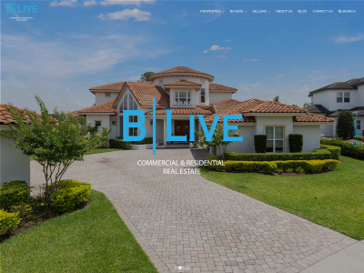 bliverealestate.com snapshot