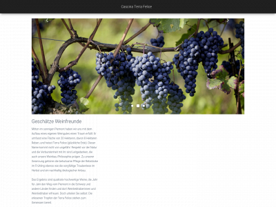 terrafelice.ch snapshot