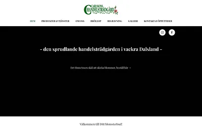carlssonshandelstradgard.se snapshot