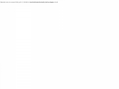 bizu.lt snapshot
