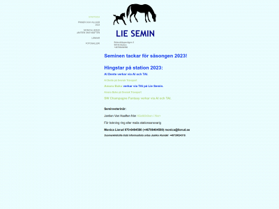 liesemin.se snapshot