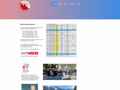 volleyterlan.it snapshot