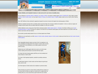 domesticcleanersinsouthlondon.com snapshot