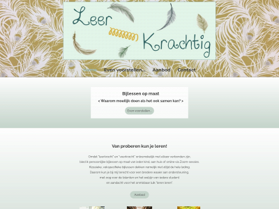 leer-krachtig.be snapshot