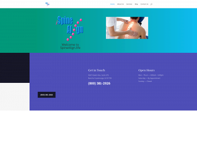 spinealign.life snapshot