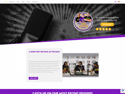 www.theprofanitynation.com snapshot